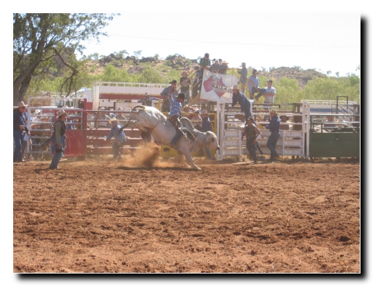 14 Gabor auf dem Bullen